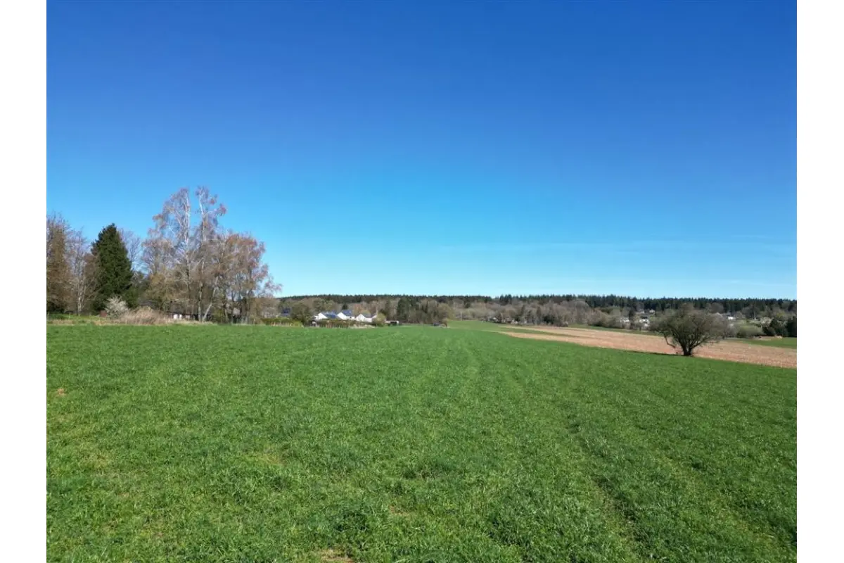 Terrain à  à Transinne 6890 125000.00€  chambres m² - annonce 736279