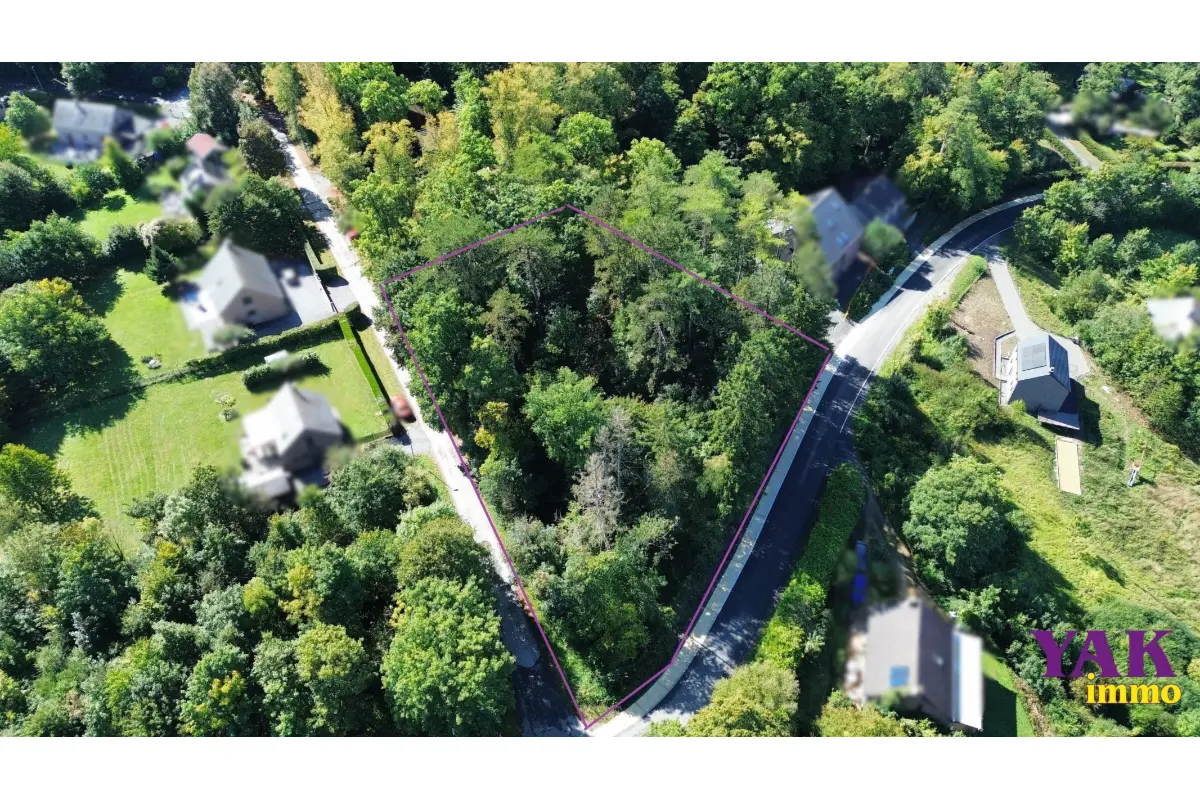 Terrain à vendre à Durbuy 6940 250000.00€  chambres m² - annonce 736530