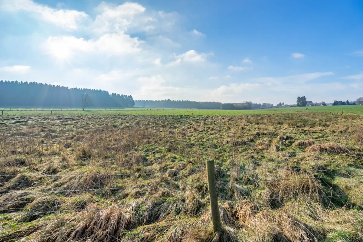 Terrain à vendre à Paliseul 6850 70000.00€  chambres m² - annonce 738249