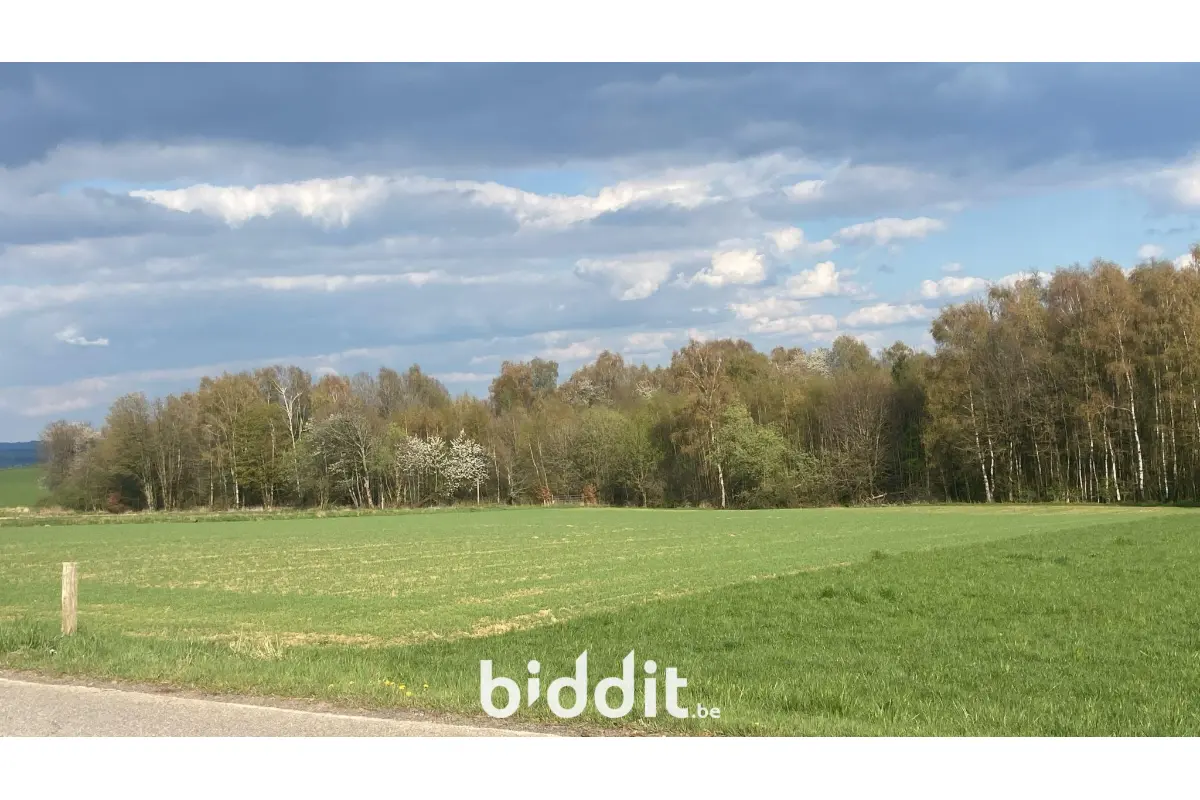 Terrain à vendre à Ortho 6983 70000.00€  chambres m² - annonce 738402