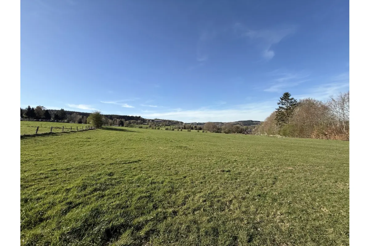 Terrain à vendre à Manhay 6960 65000.00€  chambres m² - annonce 738561