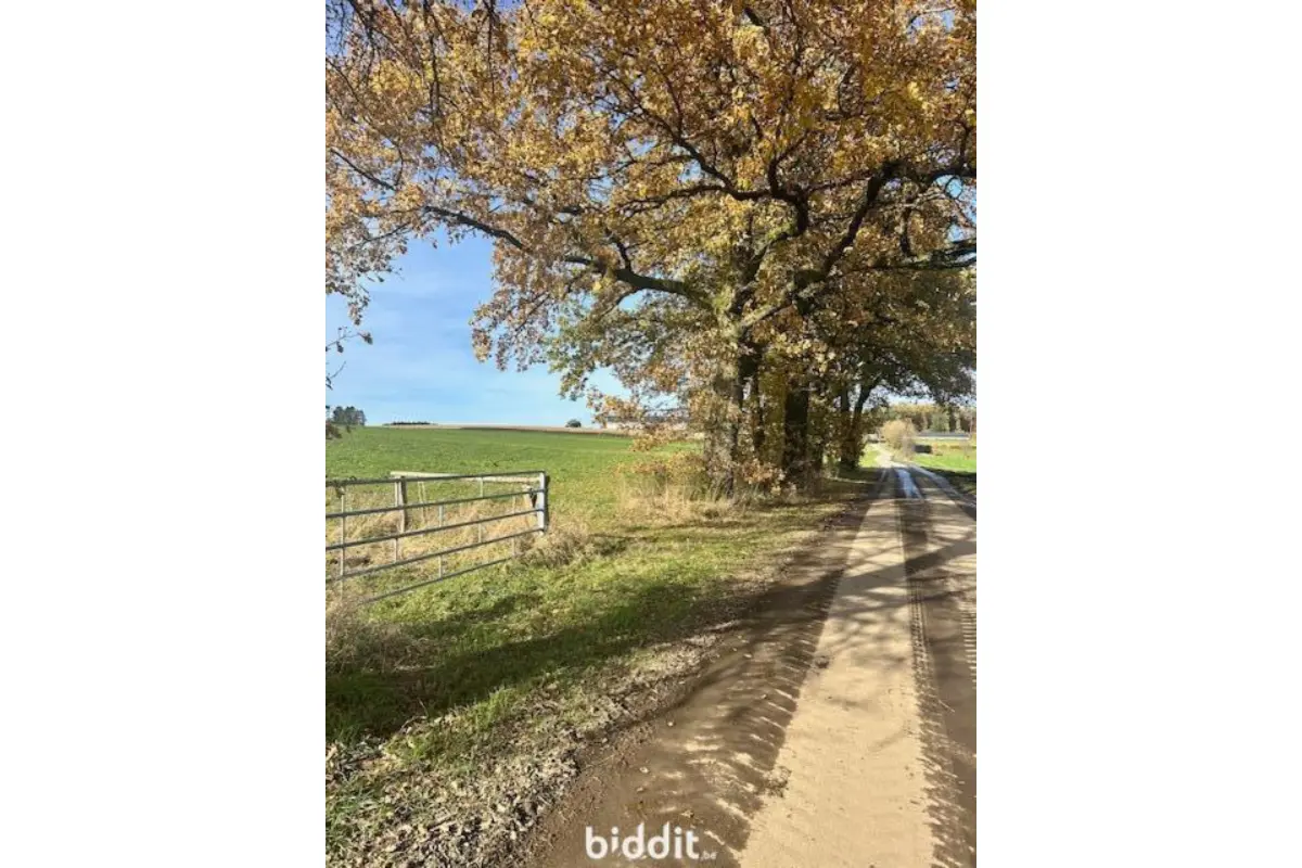 Terrain non bâtissable à vendre à Tournay 6840 17000.00€  chambres m² - annonce 739631