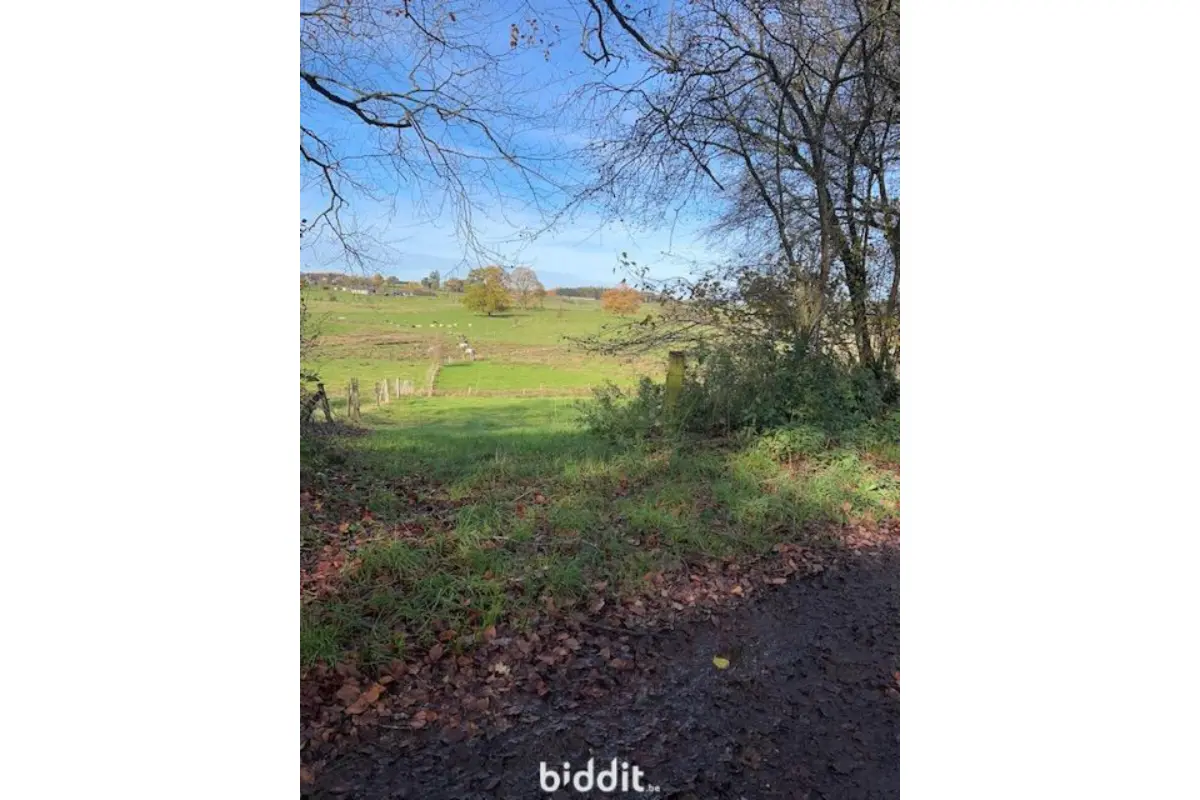 Terrain non bâtissable à vendre à Tournay 6840 15000.00€  chambres m² - annonce 739630