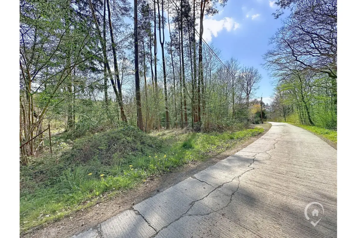 Terrain à bâtir à vendre à Erezée 6997 78500.00€  chambres m² - annonce 739672