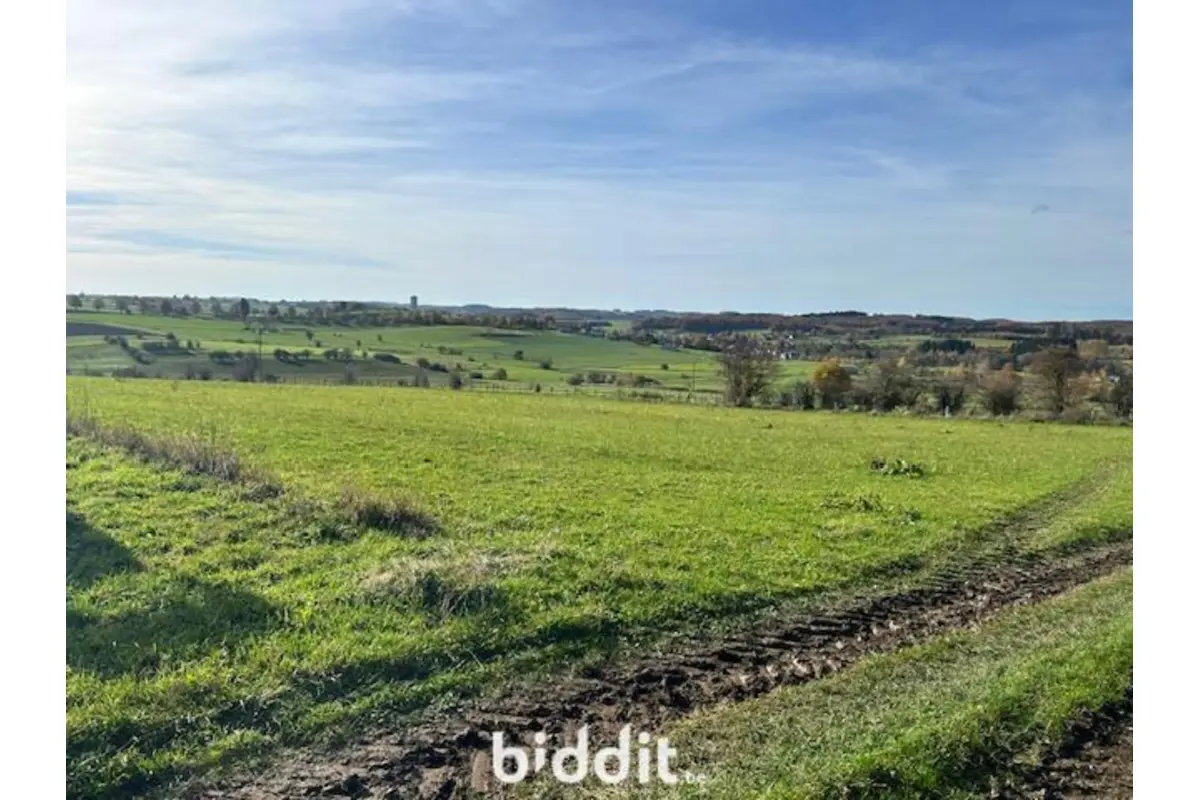 Terrain non bâtissable à vendre à Tournay 6840 10000.00€  chambres m² - annonce 739632