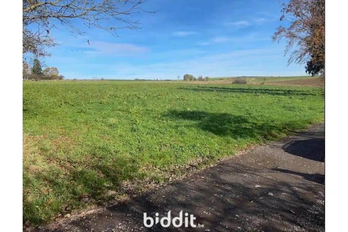 Terrain non bâtissable à vendre à Tournay 6840 18000.00€  chambres m² - annonce 739634