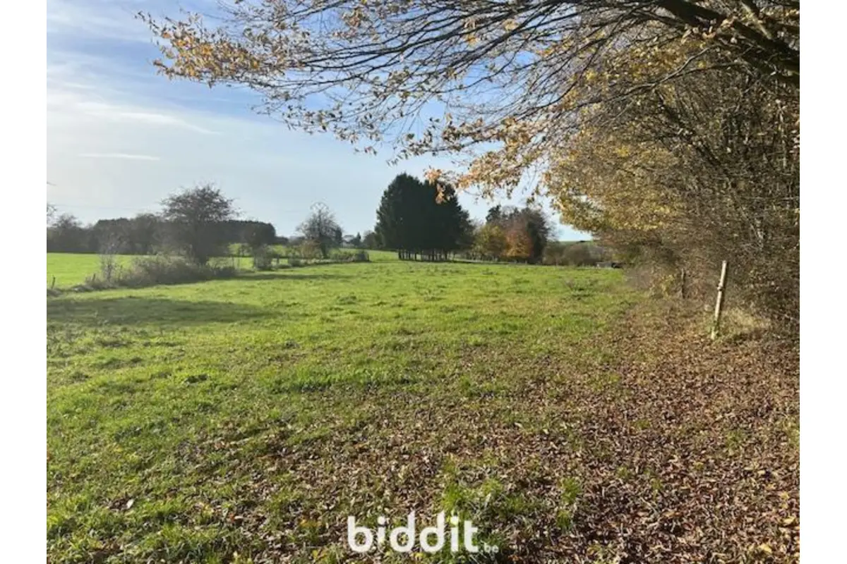 Terrain non bâtissable à vendre à Tournay 6840 30000.00€  chambres m² - annonce 739629