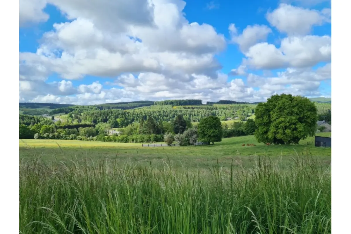 Terrain à vendre à Tenneville 6970 88000.00€  chambres m² - annonce 739614