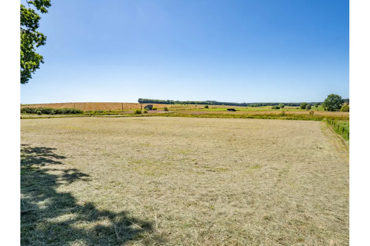 Terrain à vendre à Amberloup 6680 75000.00€  chambres m² - annonce 741129