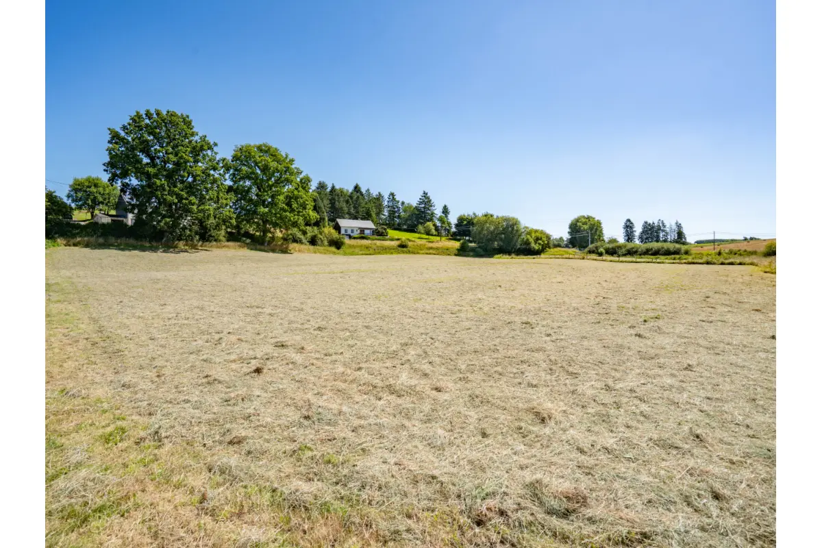 Terrain à vendre à Amberloup 6680 75000.00€  chambres m² - annonce 741125