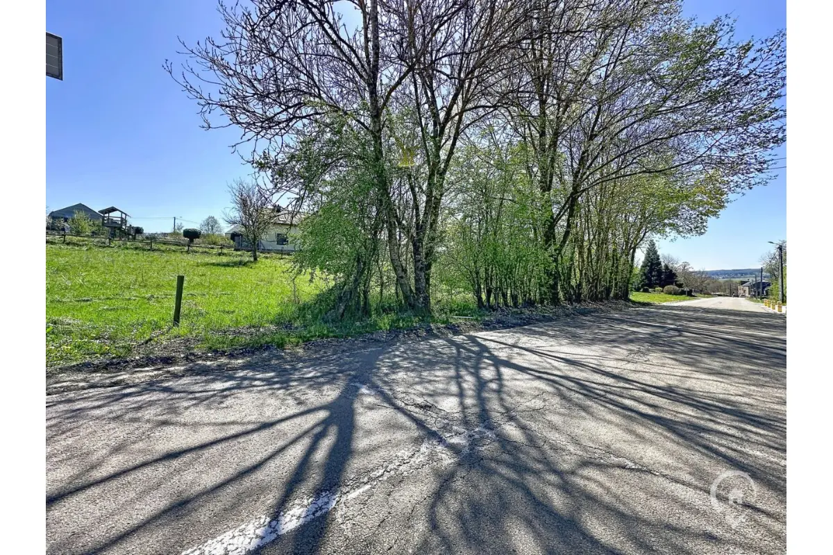 Terrain à vendre à Sainte-Ode 6680 58000.00€  chambres m² - annonce 744805