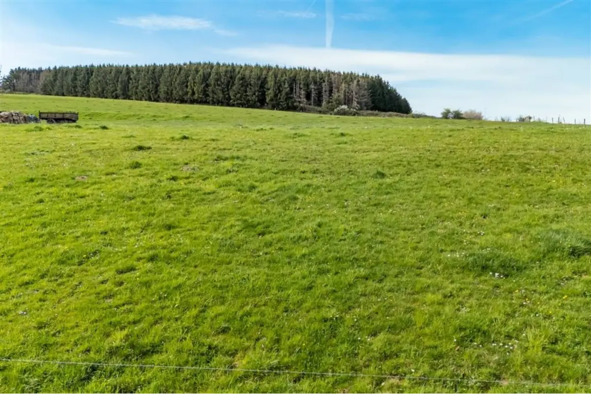 Terrain à vendre à Durbuy 6940 99900.00€  chambres m² - annonce 745935