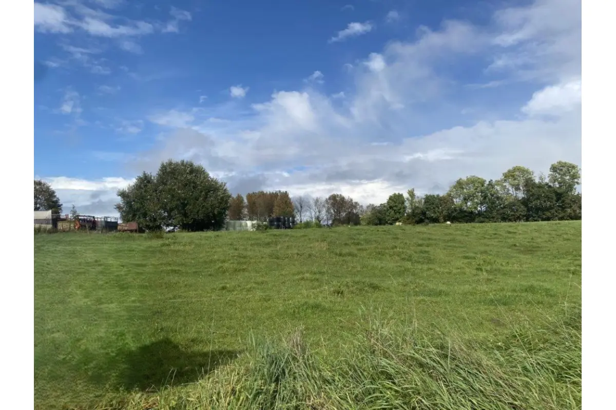 Terrain à vendre à Gérouville 6769 120000.00€  chambres m² - annonce 745509