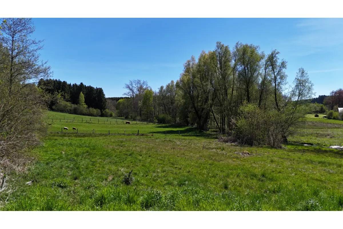 Terrain à vendre à Libin 6890 140000.00€  chambres m² - annonce 747624