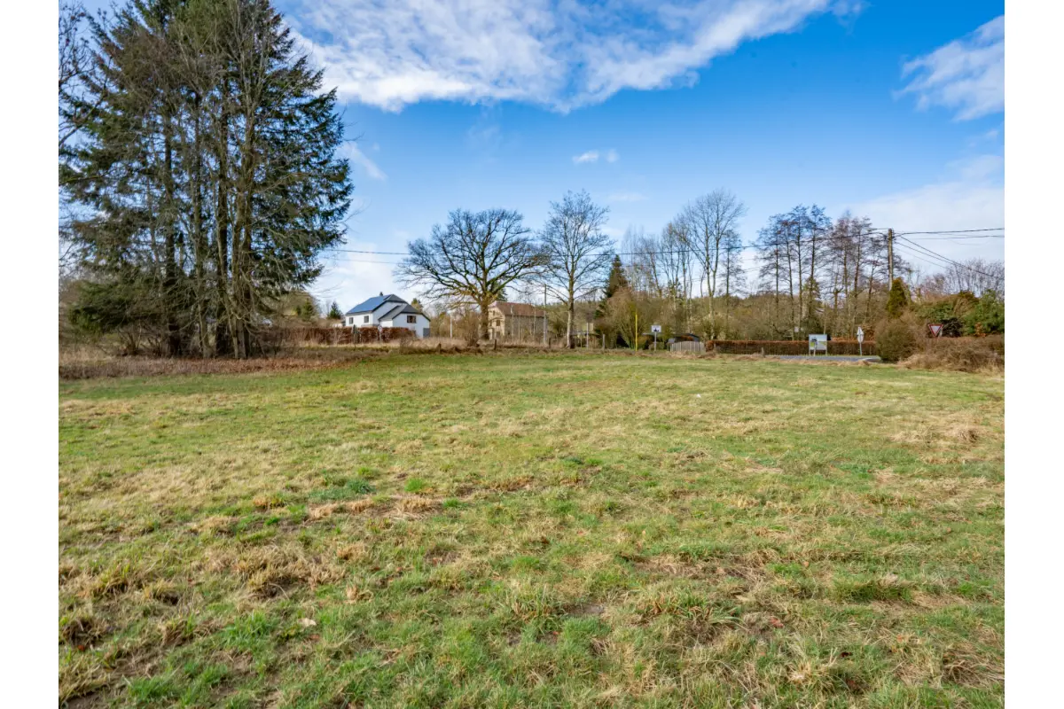 Terrain à bâtir à vendre à Gouvy 6670 99000.00€  chambres m² - annonce 749586