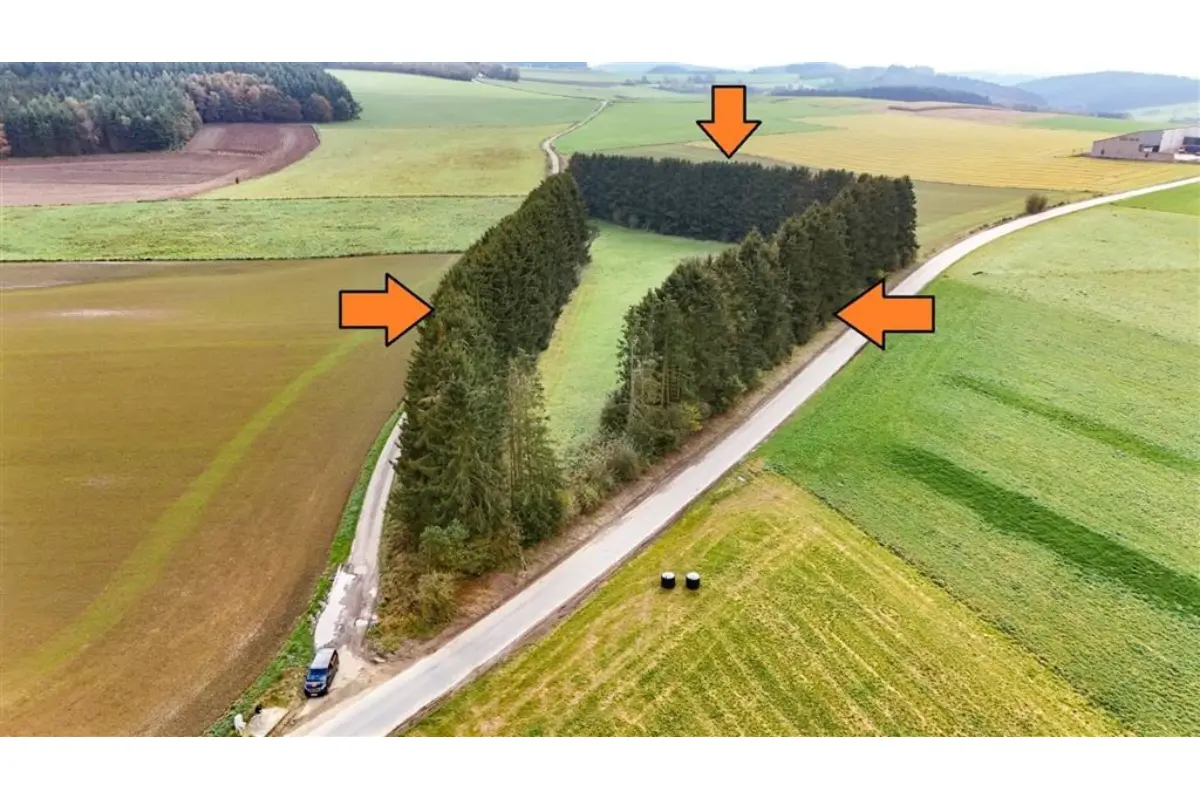 Terrain à bâtir à vendre à Ortho 6983 80000.00€  chambres m² - annonce 752896