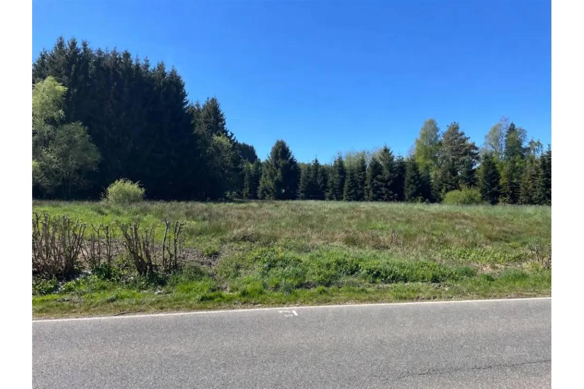 Terrain à vendre à Erezée 6997 125000.00€  chambres m² - annonce 754244