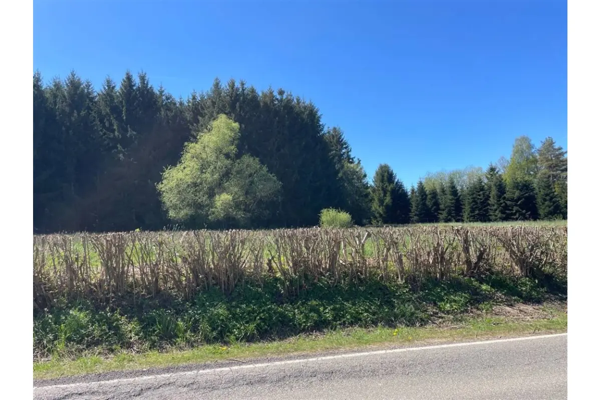 Terrain à vendre à Erezée 6997 140000.00€  chambres m² - annonce 754245