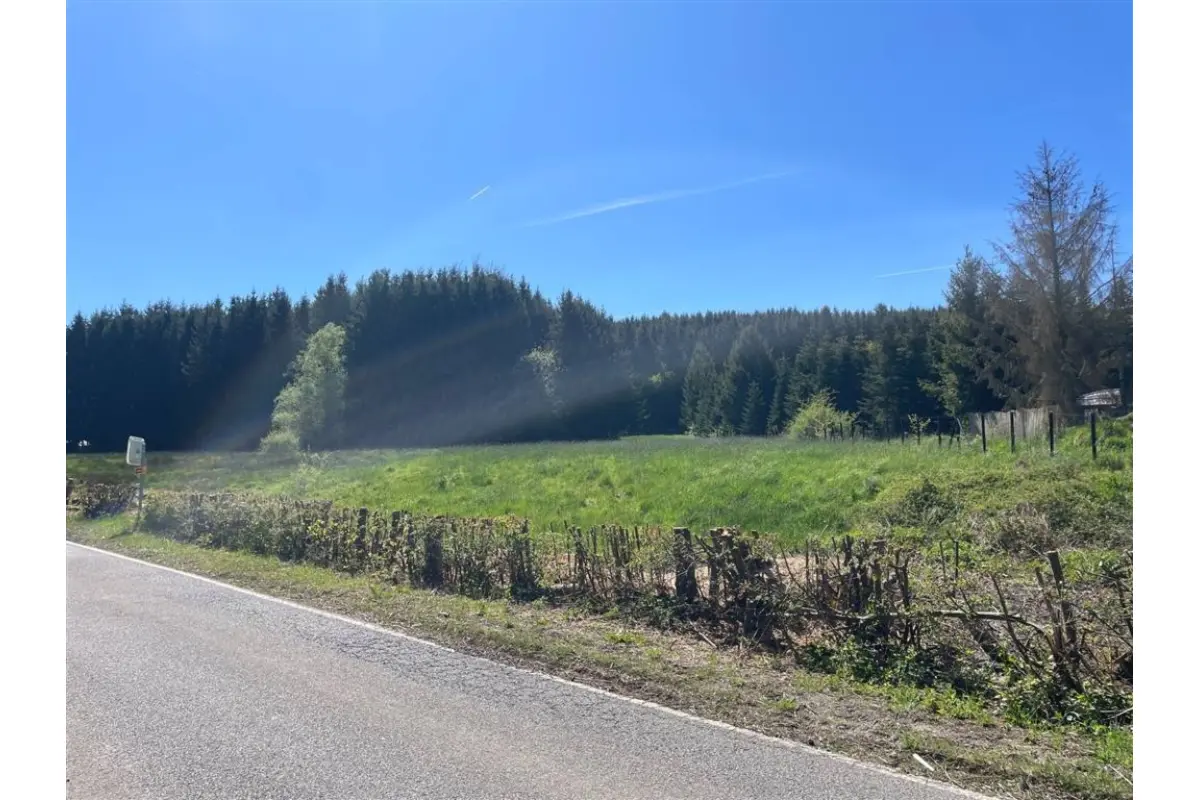 Terrain à vendre à Erezée 6997 130000.00€  chambres m² - annonce 754246