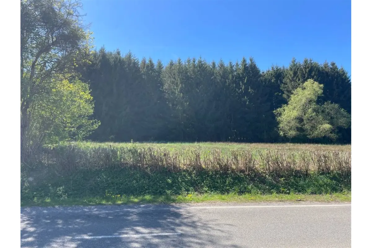 Terrain à vendre à Erezée 6997 125000.00€  chambres m² - annonce 755910