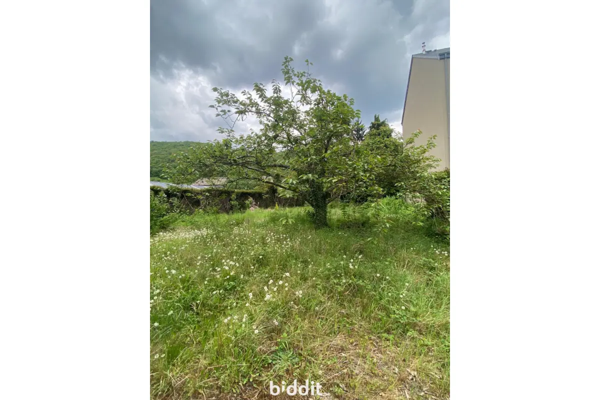 Terrain à vendre à La Roche-en-Ardenne 6980 45000.00€  chambres m² - annonce 757165