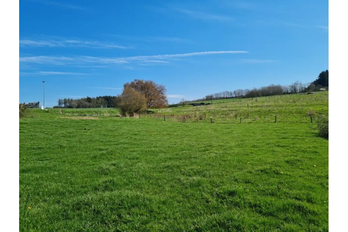Terrain à vendre à La Roche-en-Ardenne 6980 110000.00€  chambres m² - annonce 756674