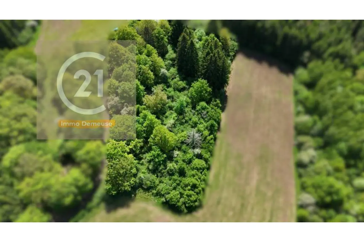 Terrain à vendre à Nassogne 6950 29000.00€  chambres m² - annonce 759698