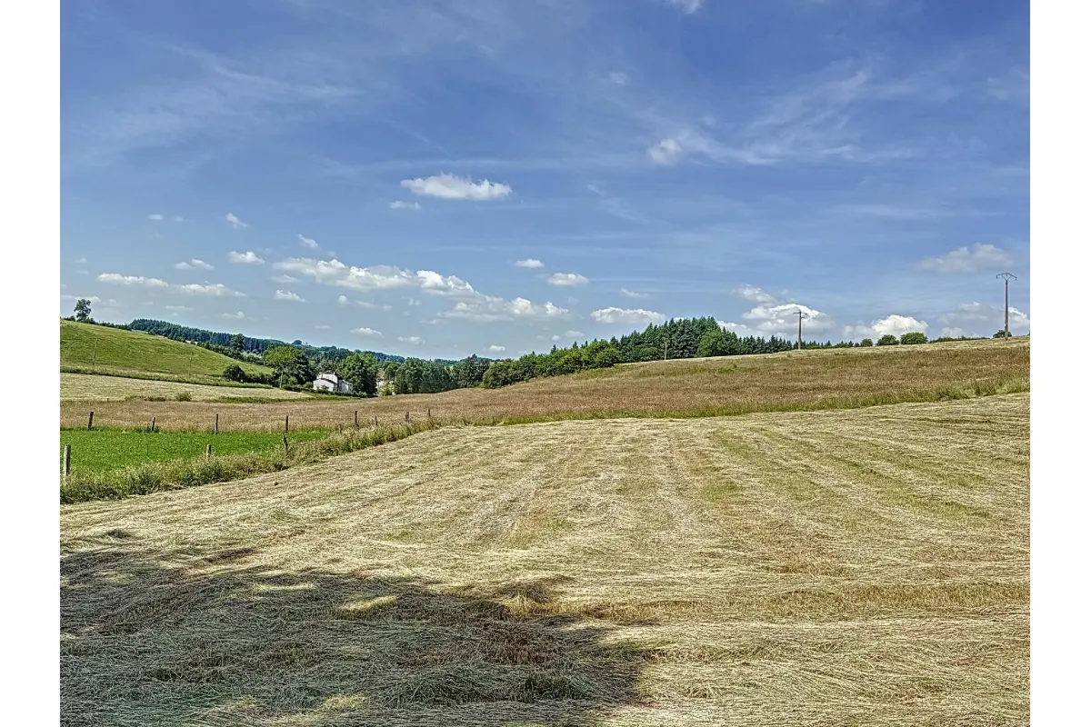 Terrain à vendre à Houffalize 6660 68000.00€  chambres m² - annonce 764833