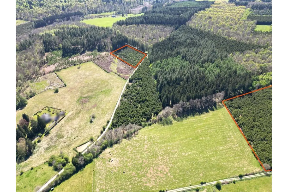 Terrain non bâtissable à vendre à Daverdisse 6929 35500.00€  chambres m² - annonce 767944