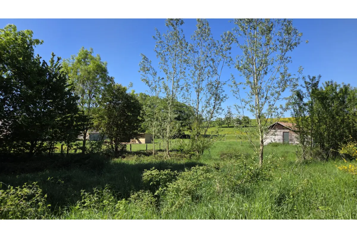 Terrain à vendre à Arville 6870 95000.00€  chambres m² - annonce 767946