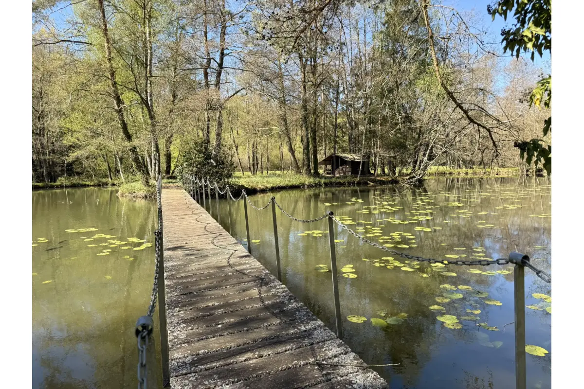 Terrain à vendre à Gérouville 6769 160000.00€  chambres m² - annonce 771510