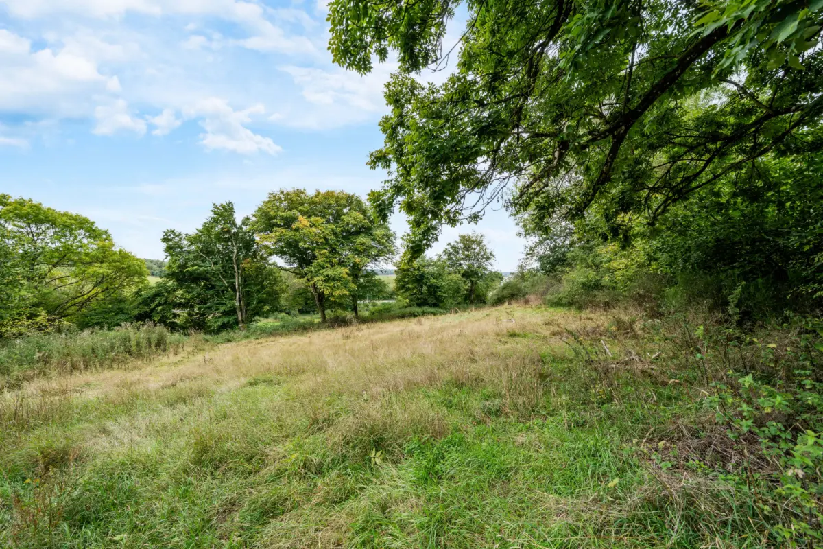 Terrain à vendre à Mabompré 6663 165000.00€  chambres m² - annonce 774227