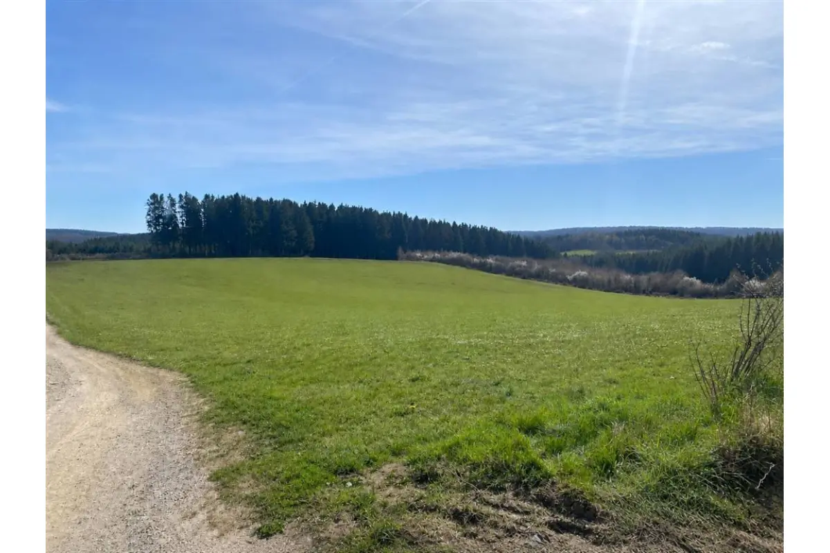 Terrain à vendre à Fauvillers 6637 95000.00€  chambres m² - annonce 774157