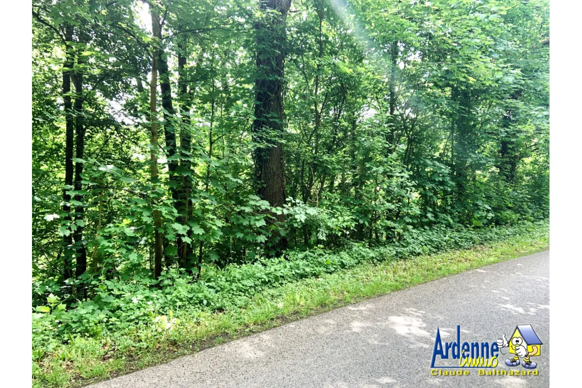 Terrain à vendre à Bomal-sur-Ourthe 6941 47000.00€  chambres m² - annonce 776318