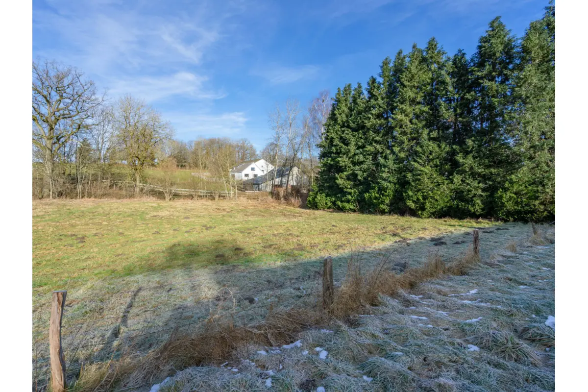 Terrain à vendre à Gouvy 6670 80000.00€  chambres m² - annonce 780011