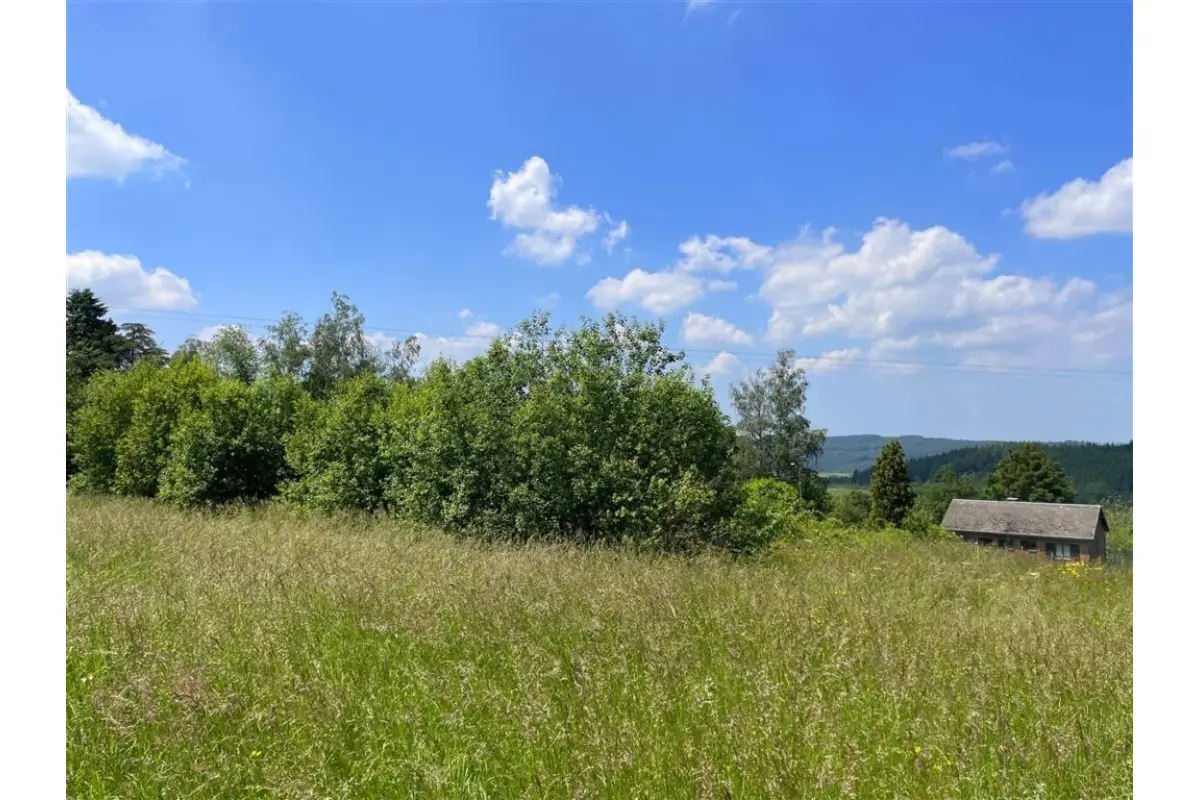 Terrain à vendre à Nassogne 6950 90000.00€  chambres m² - annonce 782569