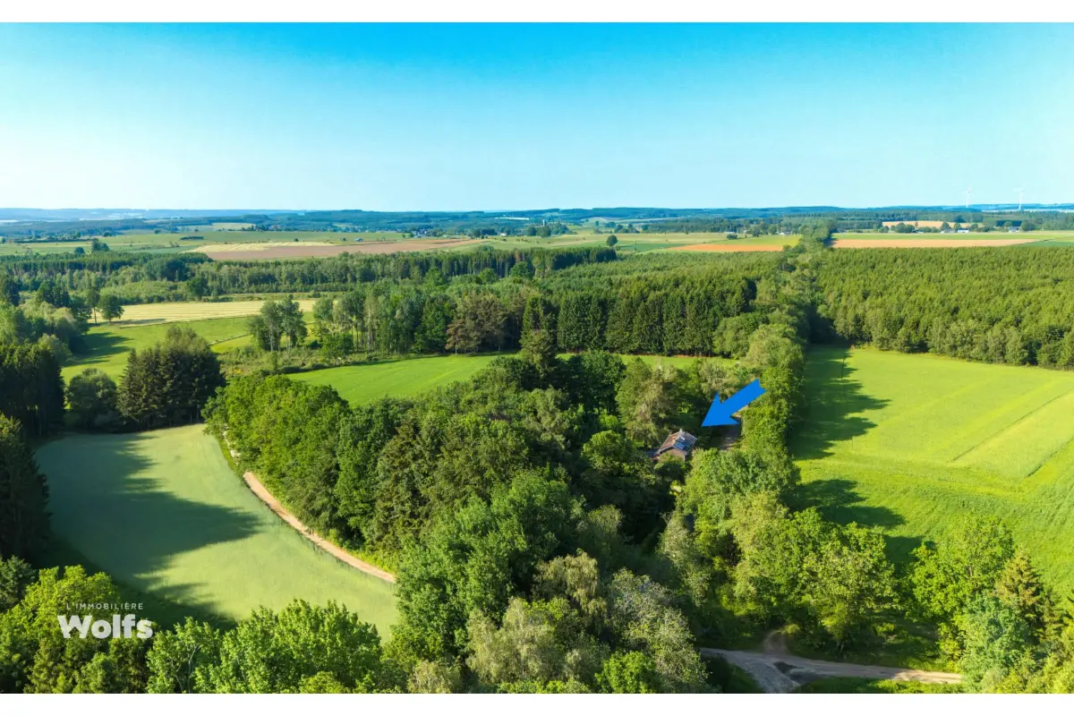 Maison à vendre à Tavigny 6662 345000.00€ 3 chambres 149.00m² - annonce 788557
