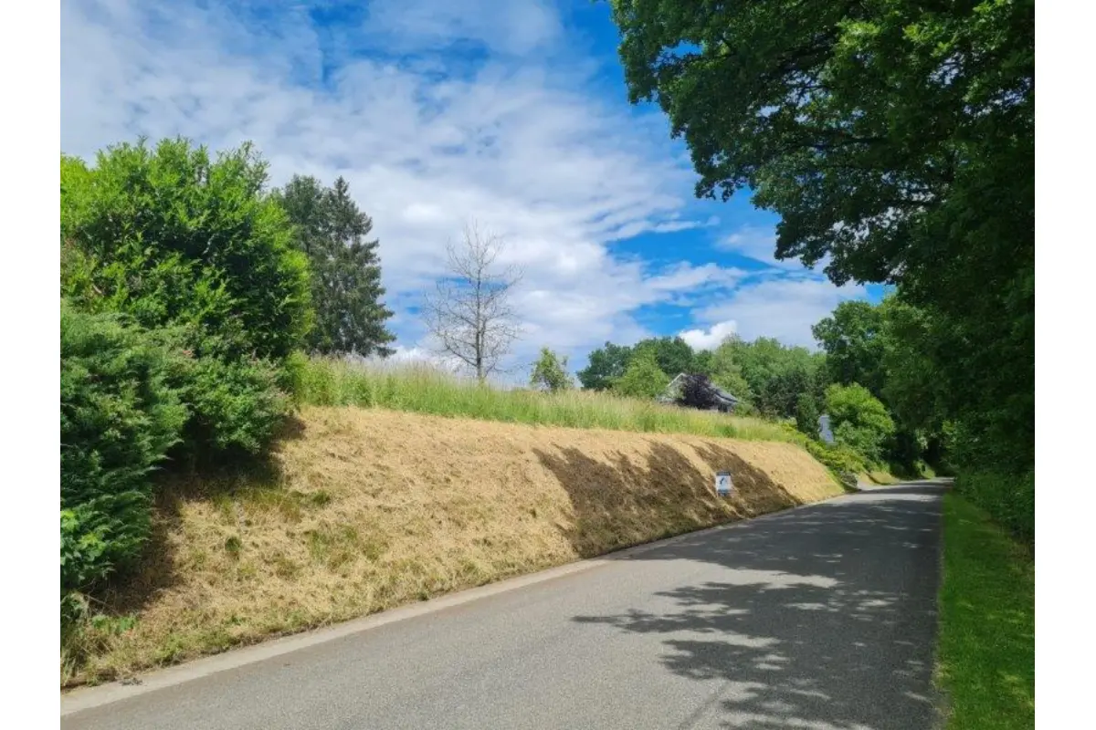Terrain à bâtir à vendre à Tenneville 6970 55000.00€  chambres m² - annonce 790500