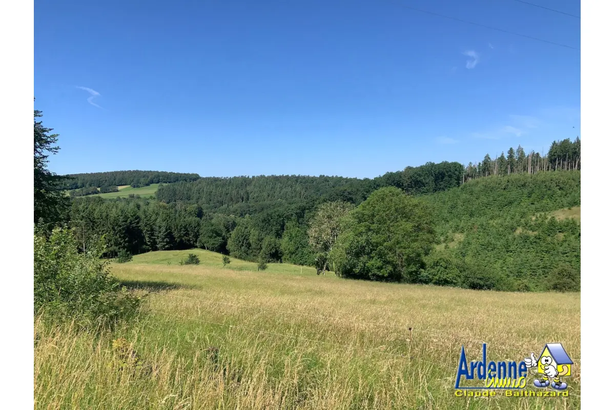 Terrain à vendre à Erezée 6997 59000.00€  chambres m² - annonce 790599