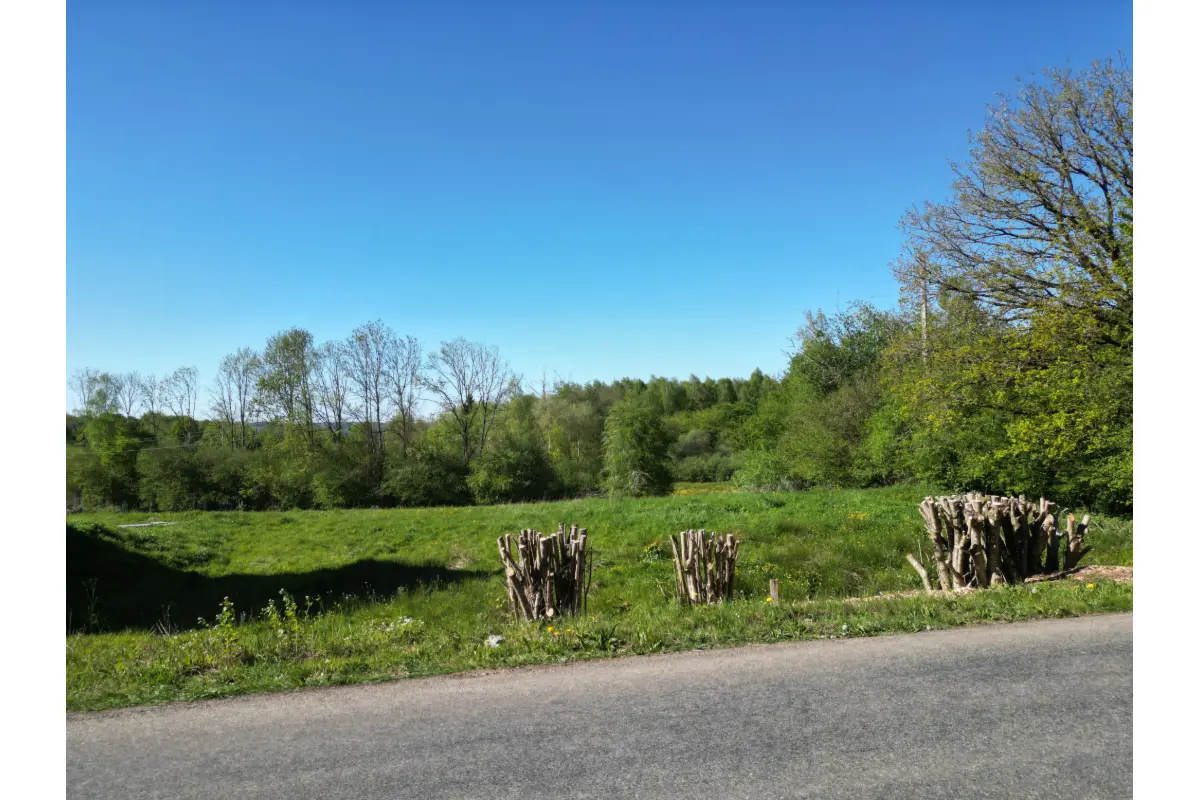 Terrain à vendre à Rendeux 6987 99000.00€  chambres m² - annonce 792117