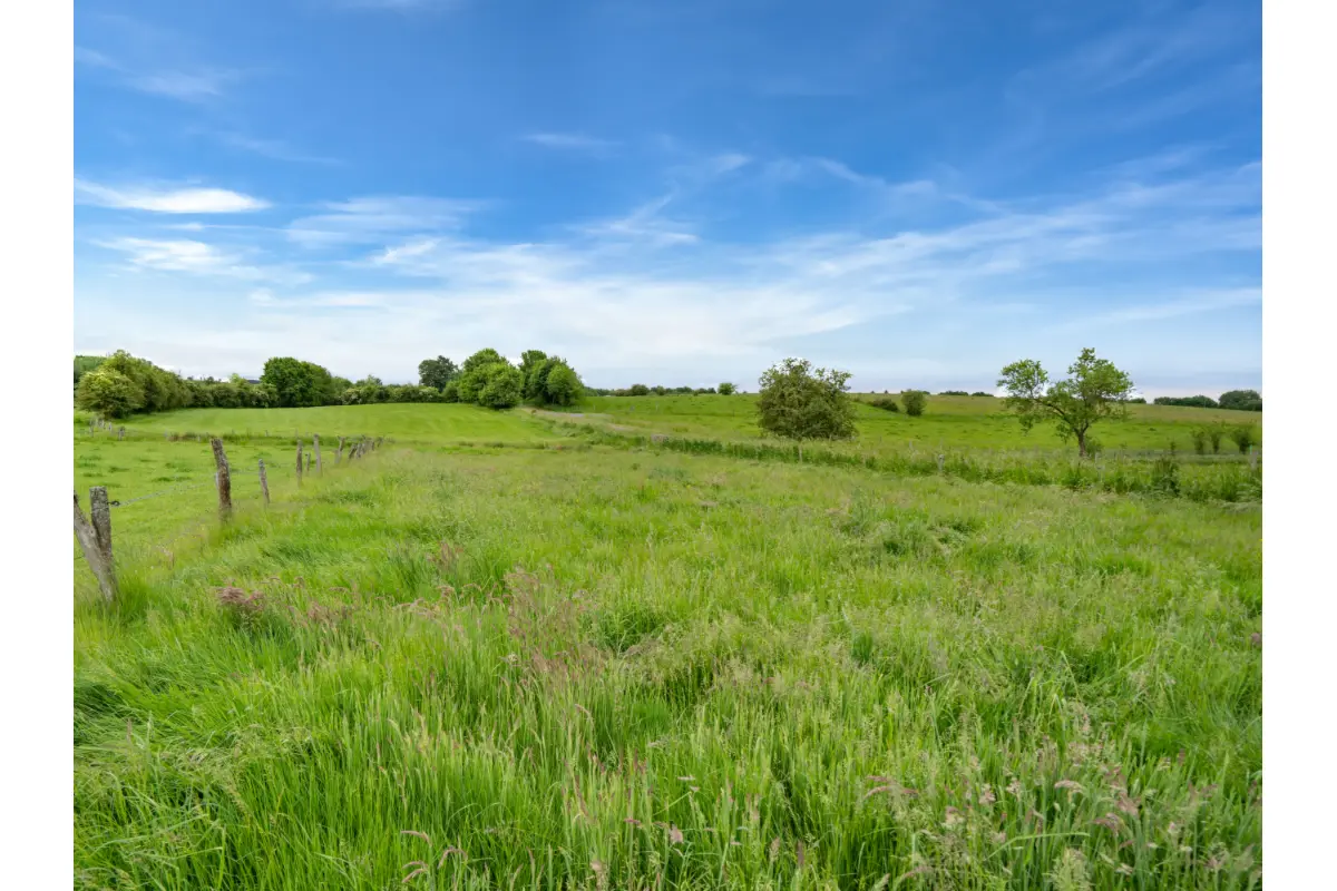 Terrain à bâtir à vendre à Neufchâteau 6840 109000.00€  chambres m² - annonce 794139