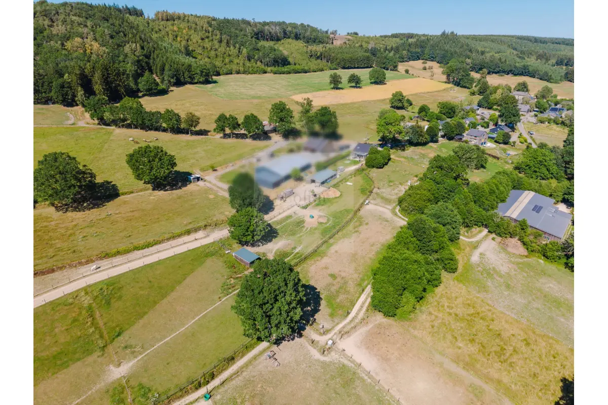 Bungalow à vendre à Vielsalm 6690 580000.00€ 3 chambres 257.00m² - annonce 801437
