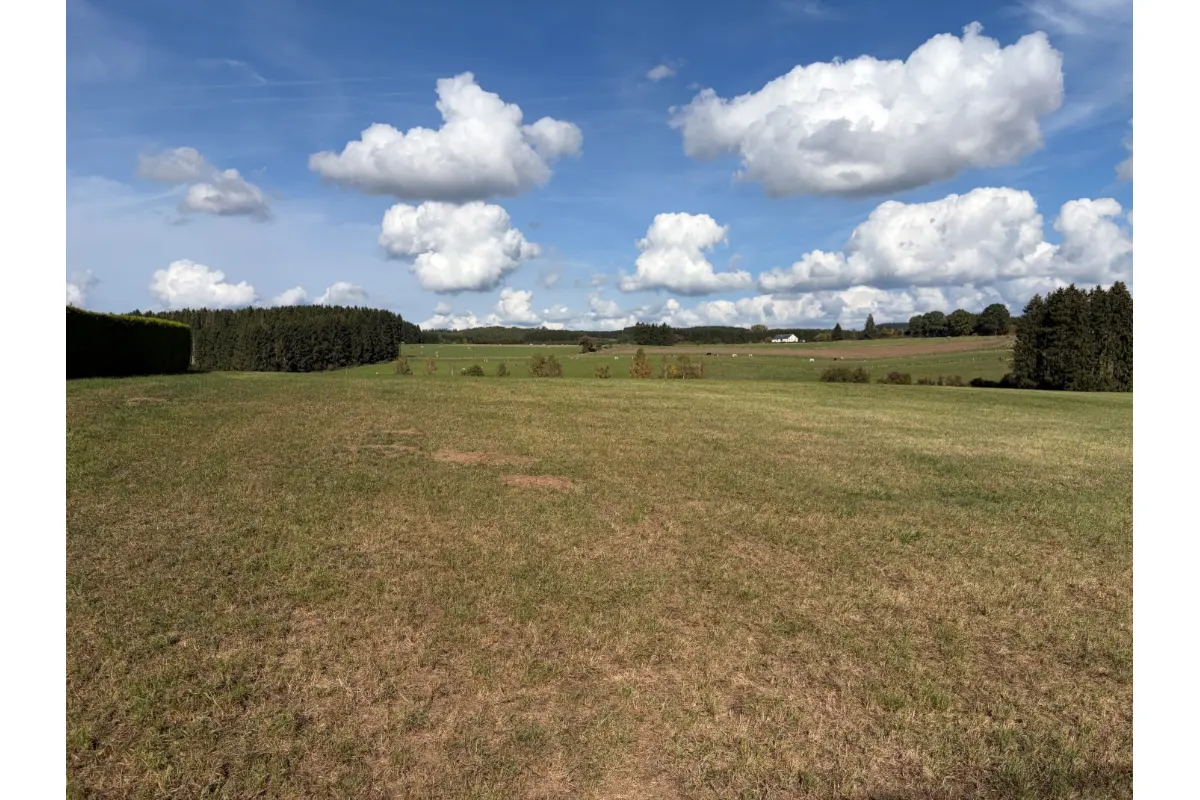 Terrain à bâtir à vendre à Gouvy 6670 125000.00€  chambres m² - annonce 810771