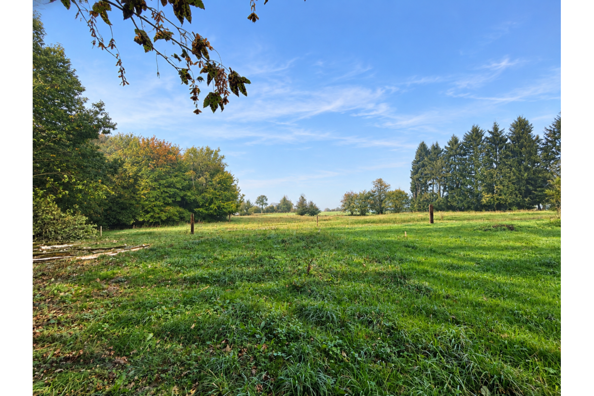 Terrain à  à Samrée 6982 125000.00€  chambres m² - annonce 812587