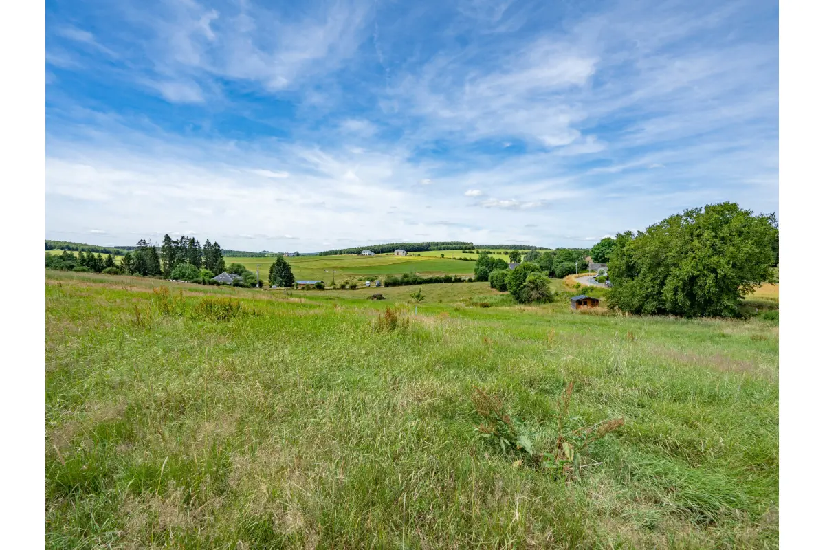 Terrain à vendre à La Roche-en-Ardenne 6980 115000.00€  chambres m² - annonce 816016