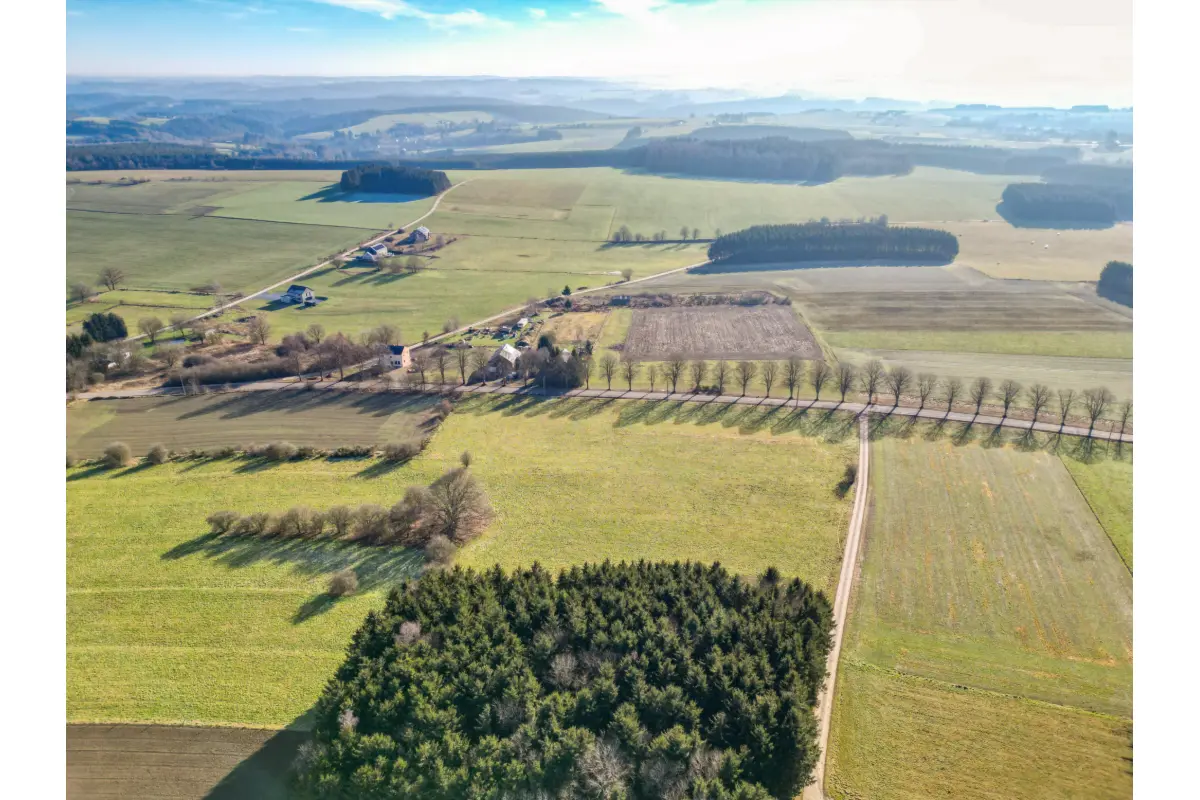 Terrain à vendre à Houffalize 6660 115000.00€  chambres m² - annonce 817194