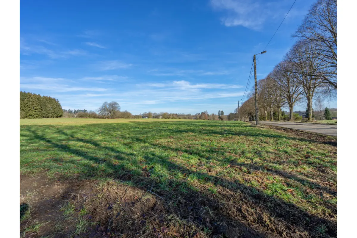 Terrain à vendre à Houffalize 6660 115000.00€  chambres m² - annonce 818481
