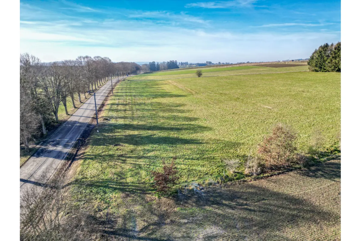 Terrain à vendre à Houffalize 6660 115000.00€  chambres m² - annonce 819268