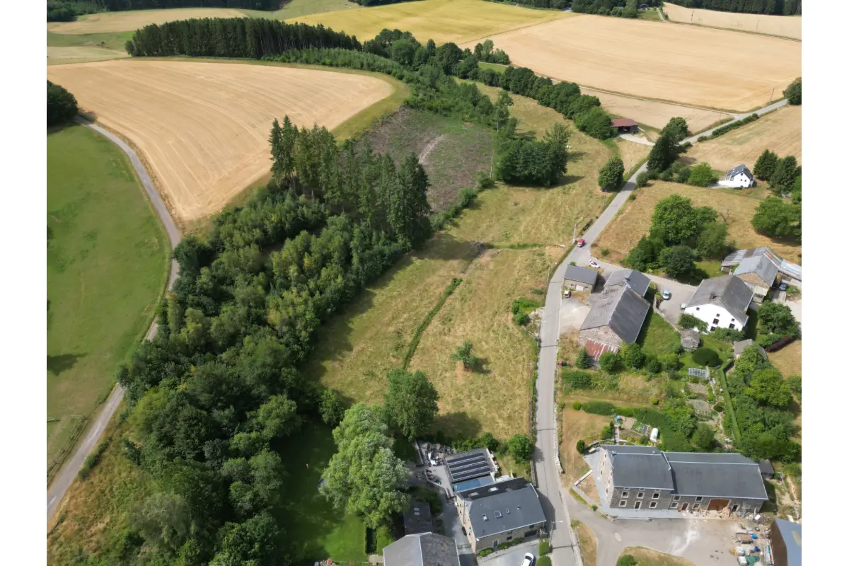 Terrain à vendre à La Roche-en-Ardenne 6980 85000.00€  chambres m² - annonce 823016