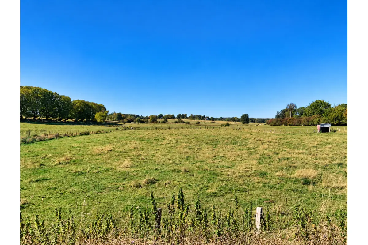 Terrain à  à Grandvoir 6840 195000.00€  chambres m² - annonce 823766